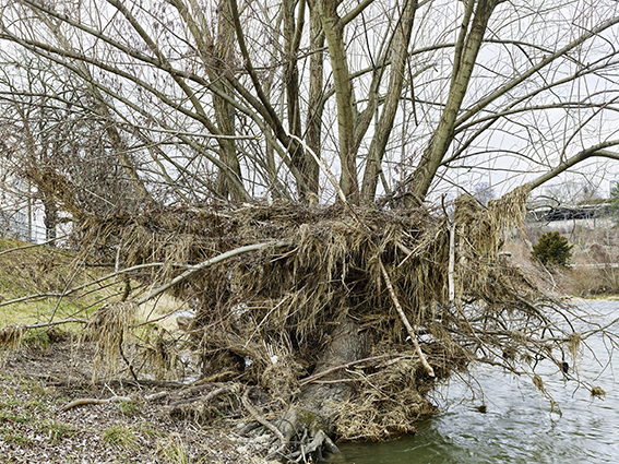 Georg Aerni, Sihlquai II, 2022, Pigment Inkjet-Print, 114 x 150 cm